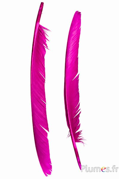 Zwaan - 35-40 cm - pink